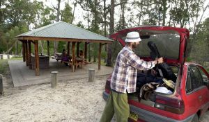 Cypress-pine campground - Accommodation Coffs Harbour